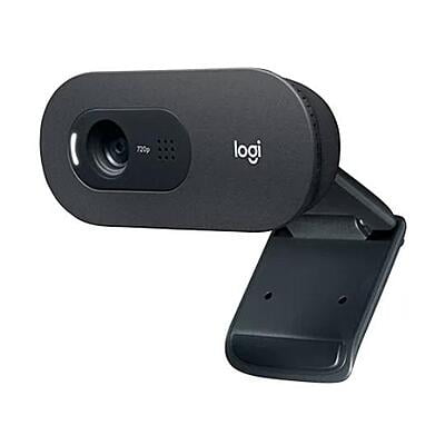 Logitech Webcam C505 HD - Negro